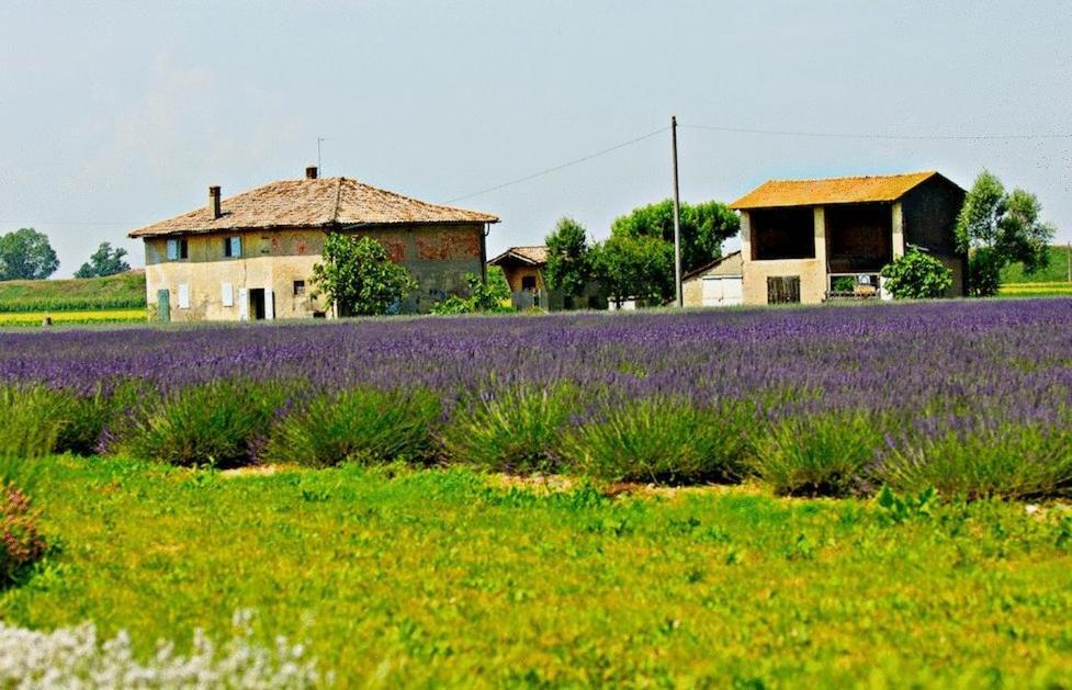 Il Murello Fiorentina Exterior foto